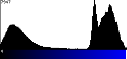 Blue Histogram