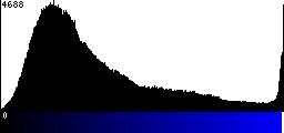 Blue Histogram