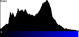Blue Histogram