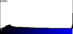 Blue Histogram