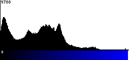Blue Histogram