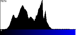 Blue Histogram