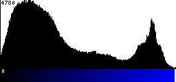 Blue Histogram