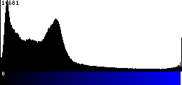 Blue Histogram
