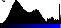 Blue Histogram