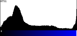 Blue Histogram
