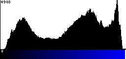 Blue Histogram