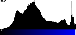 Blue Histogram