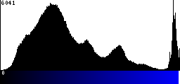 Blue Histogram