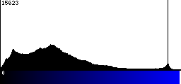 Blue Histogram
