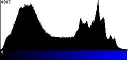 Blue Histogram