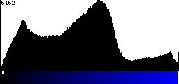 Blue Histogram