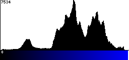 Blue Histogram