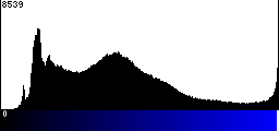Blue Histogram