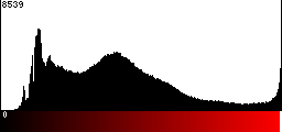 Red Histogram