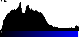 Blue Histogram