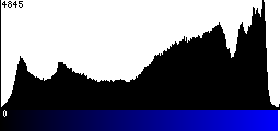 Blue Histogram
