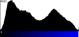 Blue Histogram