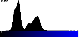 Blue Histogram