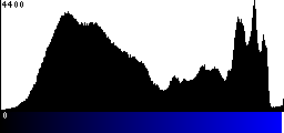 Blue Histogram