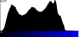 Blue Histogram