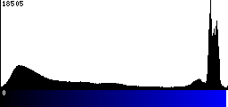 Blue Histogram