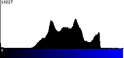 Blue Histogram