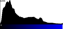 Blue Histogram