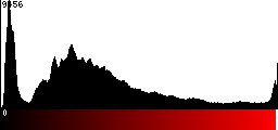 Red Histogram