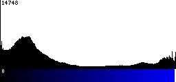 Blue Histogram