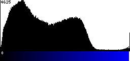 Blue Histogram