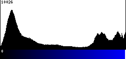 Blue Histogram