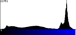 Blue Histogram