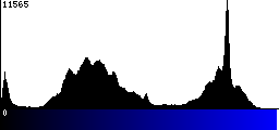 Blue Histogram