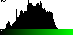 Green Histogram