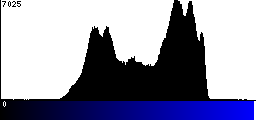 Blue Histogram