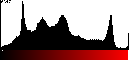 Red Histogram