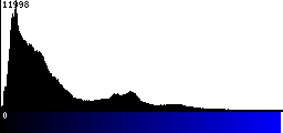 Blue Histogram