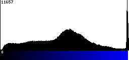 Blue Histogram