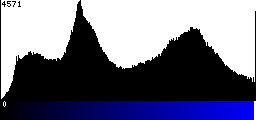 Blue Histogram
