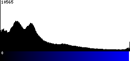 Blue Histogram