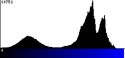 Blue Histogram