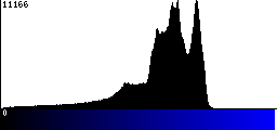 Blue Histogram