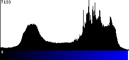Blue Histogram