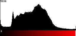 Red Histogram