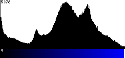 Blue Histogram