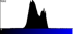 Blue Histogram