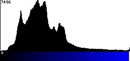 Blue Histogram