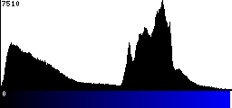 Blue Histogram