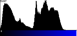 Blue Histogram